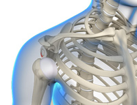 Posterior Shoulder Stabilization